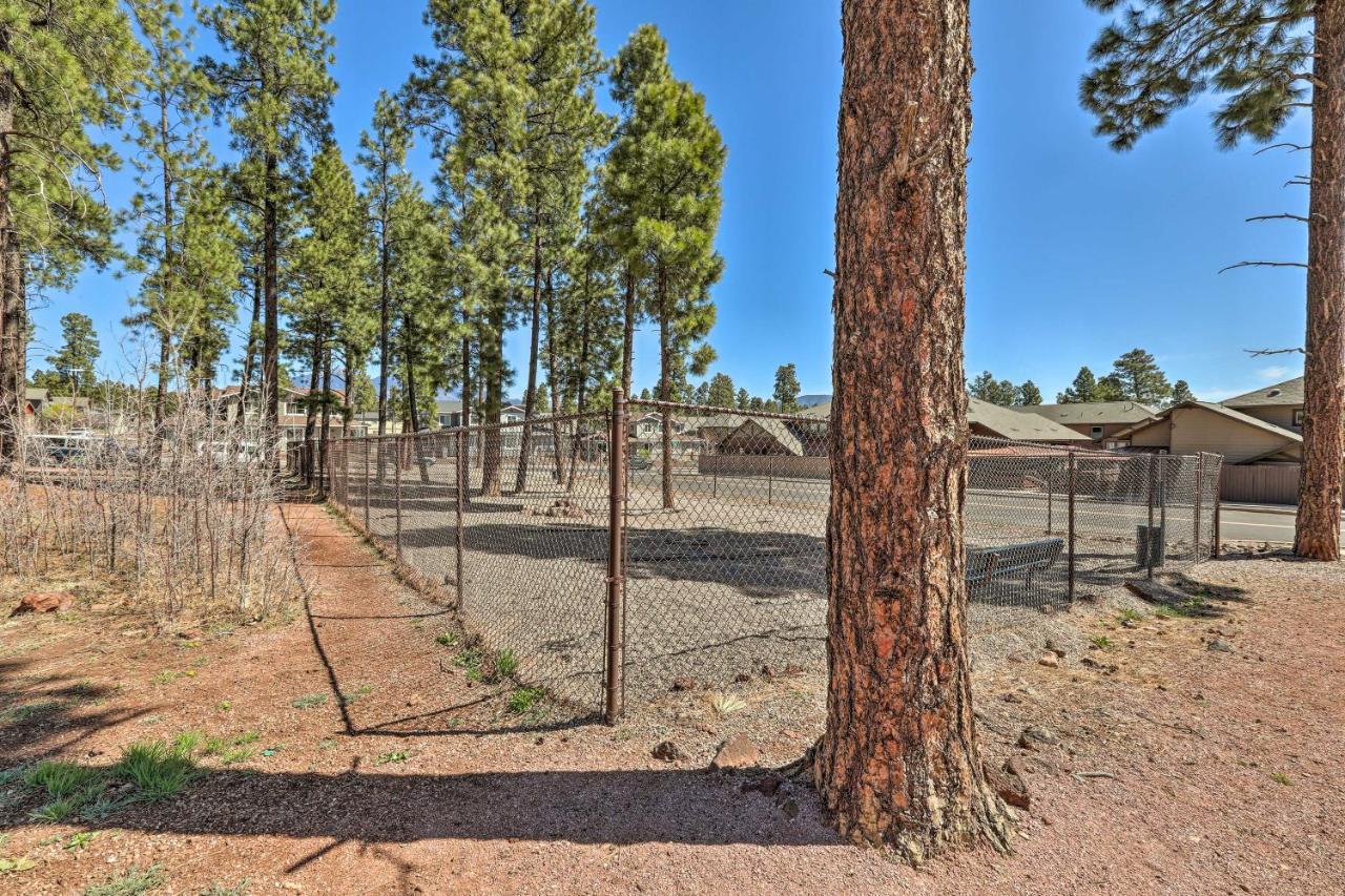 Modern Flagstaff Home, 4 Mi To Downtown! 外观 照片